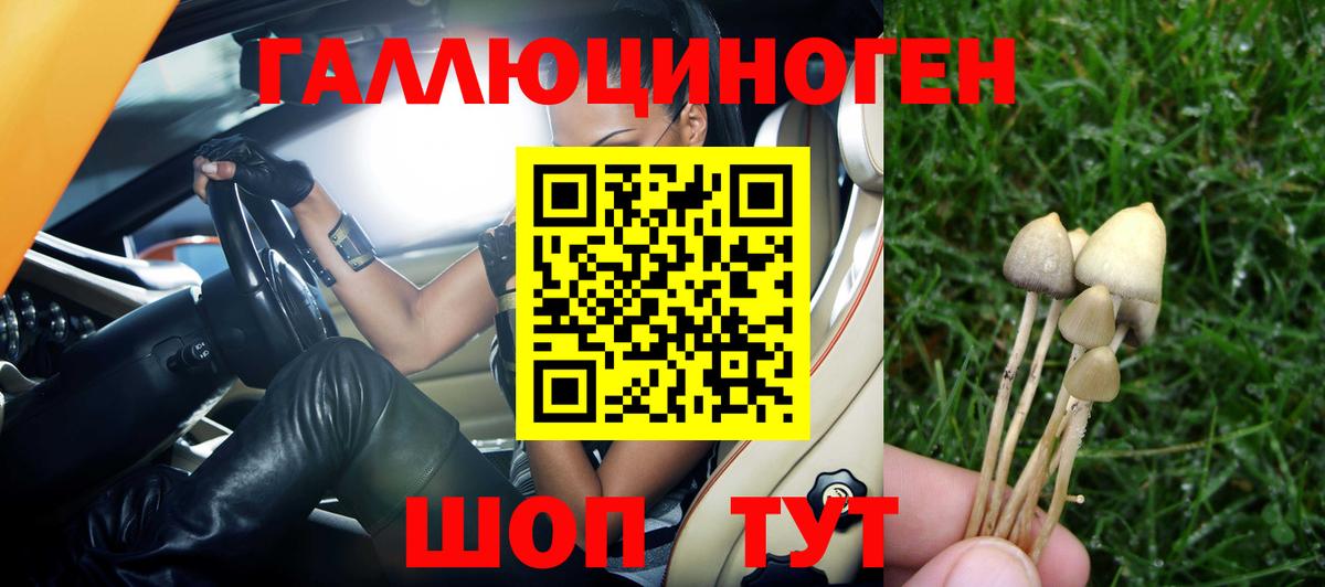 Псилоцибиновые грибы MAGIC MUSHROOMS  Галлюциногенные грибы ЛСД  Кохма  Вход с VPN 