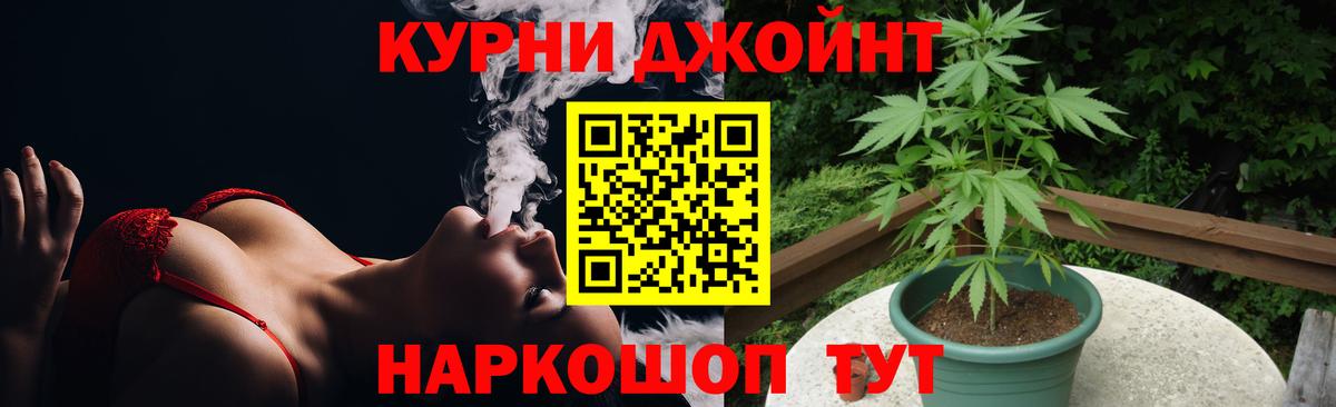 Бошки Шишки гибрид Кохма
